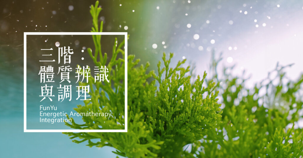 2024 Hha Eai Post L3